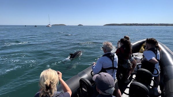 Abersoch Boat Trips photo 5