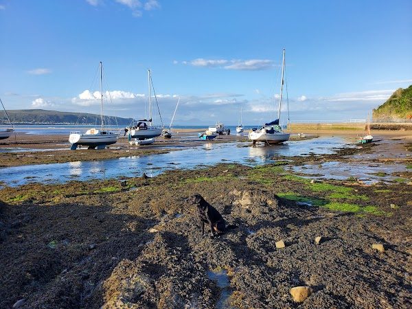 Abersoch Marina photo 4