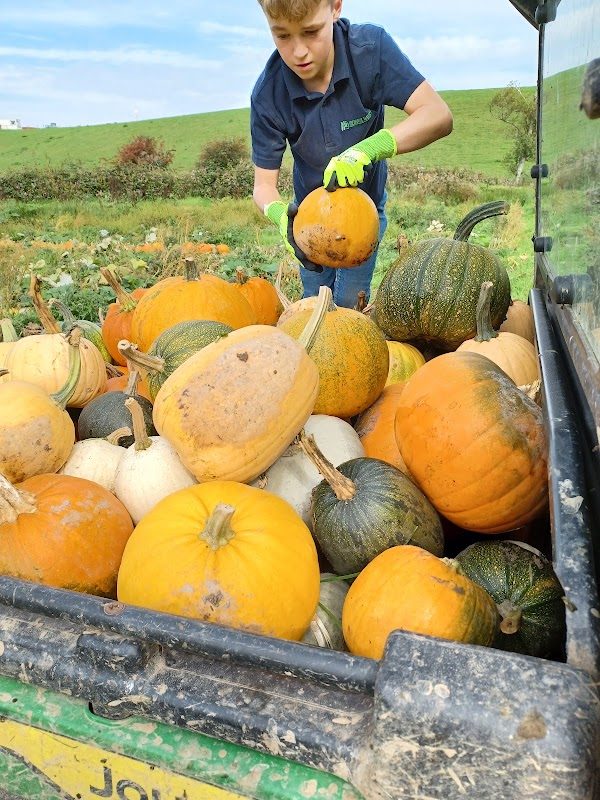 Crugan Farm photo 4