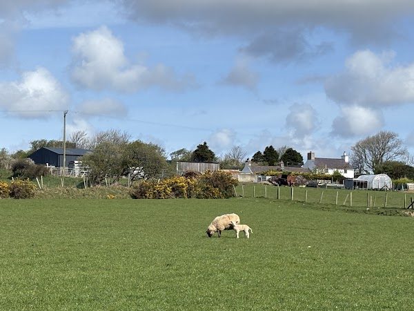 Llain Las Touring Caravan Site photo 2
