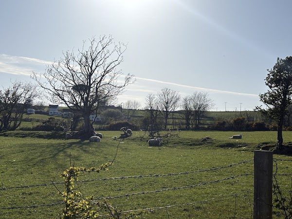Llain Las Touring Caravan Site photo 3