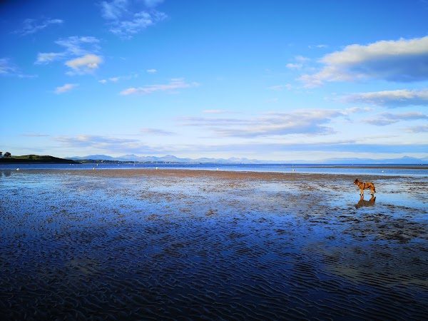 Llanbedrog Beach photo 4