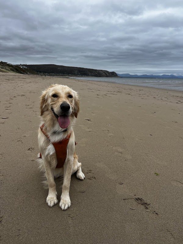 Traeth Trwyn y Fach photo 4